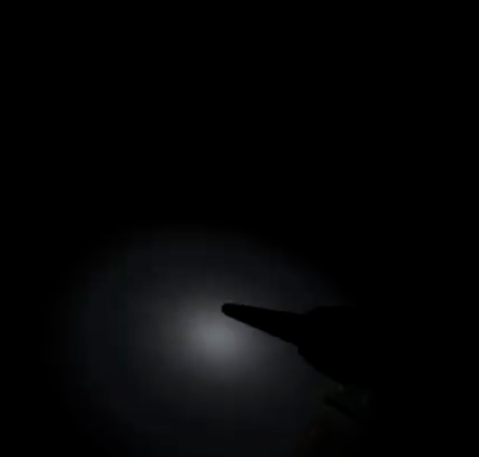 Gone Home